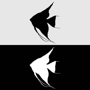 Siyah ve beyaz renkli melek balığı logosu tasarımı