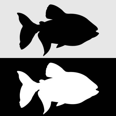 Siyah beyaz bir pomfret balığının logosunun siluet tasarımı