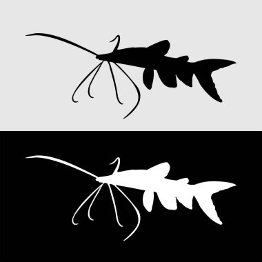 Süslü yayın balığı ambleminin silüeti siyah ve beyaz renklerde.