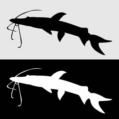 Süslü yayın balığı ambleminin silüeti siyah ve beyaz renklerde.