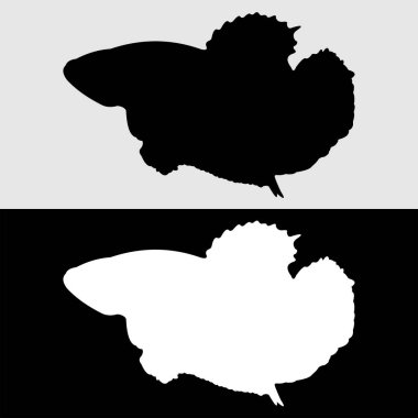 Beta balığı silueti logosu beyaz ve siyah arkaplanlı