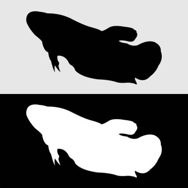 Guppy balık silueti logo tasarımı beyaz ve siyah arkaplan