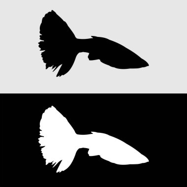 Guppy balık silueti logo tasarımı beyaz ve siyah arkaplan
