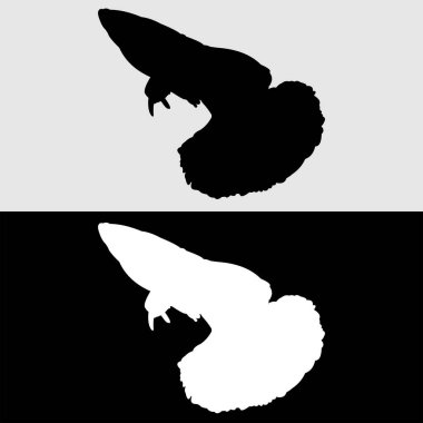 Guppy balık silueti logo tasarımı beyaz ve siyah arkaplan