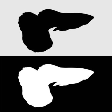 Guppy balık silueti logo tasarımı beyaz ve siyah arkaplan