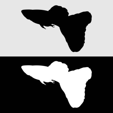 Guppy balık silueti logo tasarımı beyaz ve siyah arkaplan