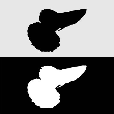 Guppy balık silueti logo tasarımı beyaz ve siyah arkaplan