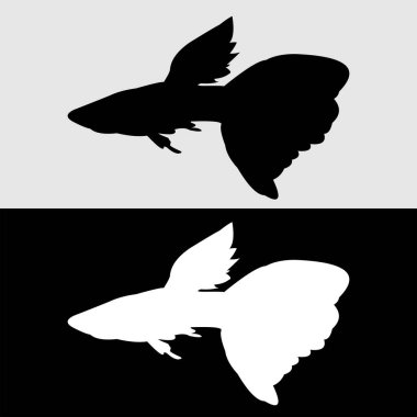 Guppy balık silueti logo tasarımı beyaz ve siyah arkaplan