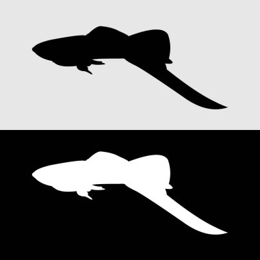 Guppy balık silueti logo tasarımı beyaz ve siyah arkaplan