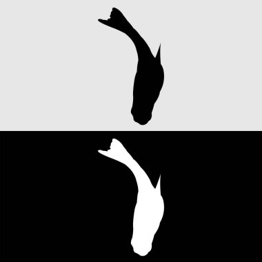 Guppy balık silueti logo tasarımı beyaz ve siyah arkaplan