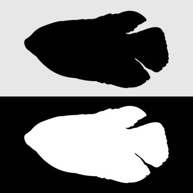 Siyah beyaz Gurame balık logosunun siluet tasarımı