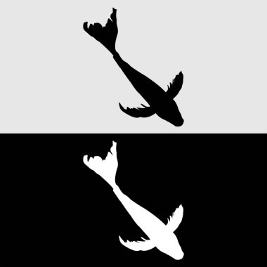 Beyaz ve siyah arkaplanlı Koi balığı silueti logosu tasarımı