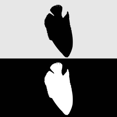 Siyah beyaz Gurame balık logosunun siluet tasarımı