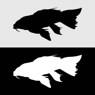 Beyaz ve siyah arkaplanlı Koi balığı silueti logosu tasarımı