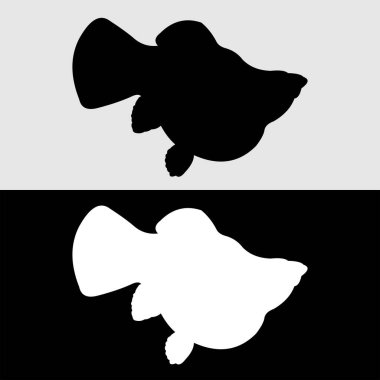 Molly balık silueti logo tasarımı beyaz ve siyah arkaplan