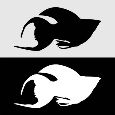 Molly balık silueti logo tasarımı beyaz ve siyah arkaplan