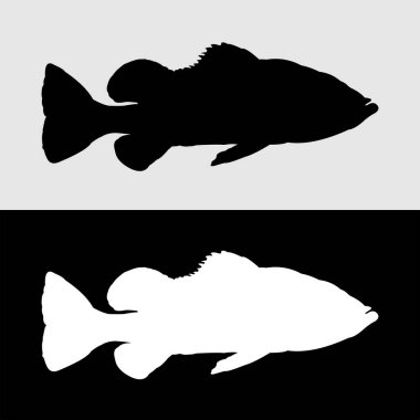 Bass balığı tavuskuşu silueti logo tasarımı beyaz ve siyah arkaplan