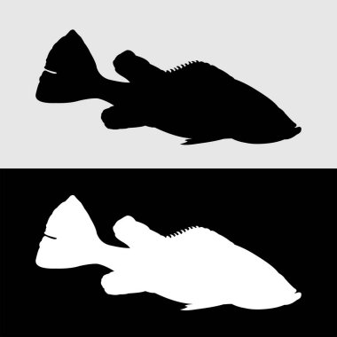 Bass balığı tavuskuşu silueti logo tasarımı beyaz ve siyah arkaplan
