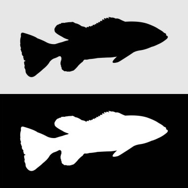 Bass balığı tavuskuşu silueti logo tasarımı beyaz ve siyah arkaplan