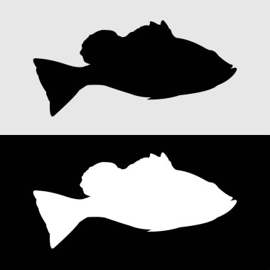 Bass balığı tavuskuşu silueti logo tasarımı beyaz ve siyah arkaplan