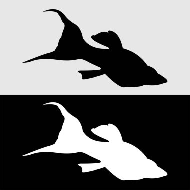 Platy Fish siluet logo tasarımı beyaz ve siyah arkaplan