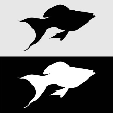 Platy Fish siluet logo tasarımı beyaz ve siyah arkaplan