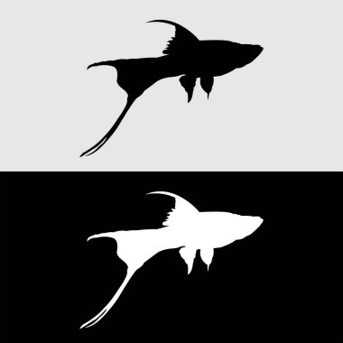 Platy Fish siluet logo tasarımı beyaz ve siyah arkaplan