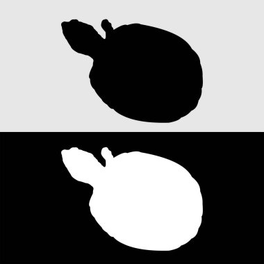 Siyah beyaz kaplumbağa logosu tasarımı