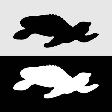 Siyah beyaz kaplumbağa logosu tasarımı