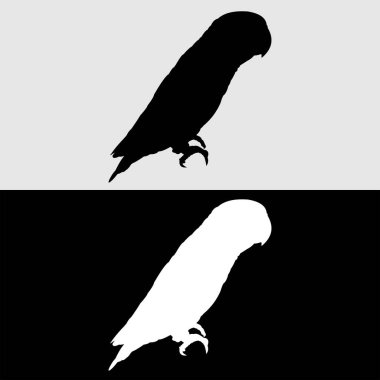 Aşk kuşu logosu silueti tasarımı siyah ve beyaz renklerle