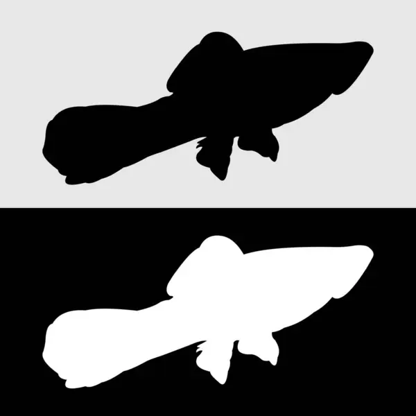 Platy Fish siluet logo tasarımı beyaz ve siyah arkaplan