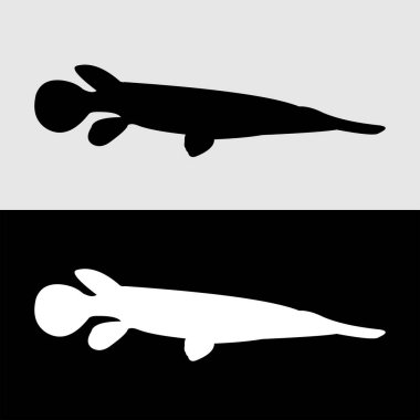 timsah balığı siluet vektör tasarımı