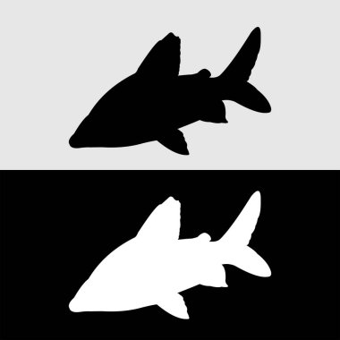 botia balığı siluet vektör tasarımı