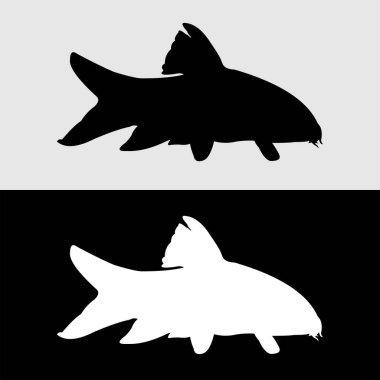 botia balığı siluet vektör tasarımı