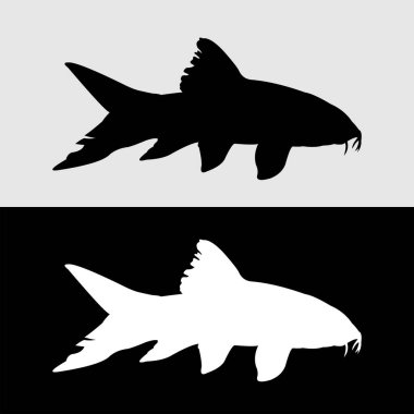 botia balığı siluet vektör tasarımı