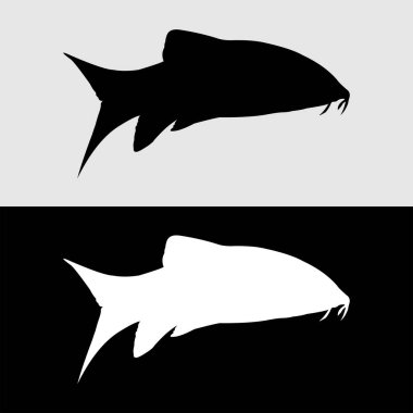 botia balığı siluet vektör tasarımı