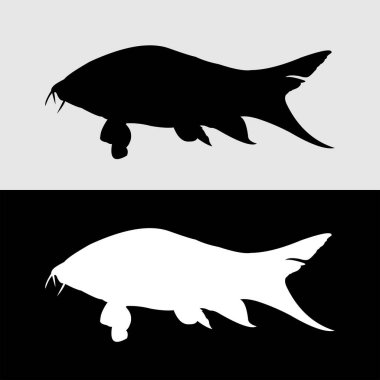 botia balığı siluet vektör tasarımı
