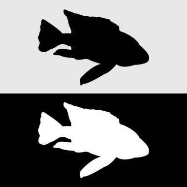 cichlid balık siluet vektör tasarımı