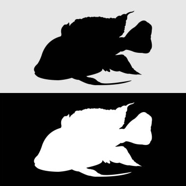 cichlid balık siluet vektör tasarımı