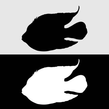 Süslü balıkların siluet vektör tasarımı sıklıkla saklanır