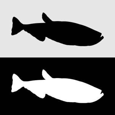 Süslü balıkların siluet vektör tasarımı sıklıkla saklanır