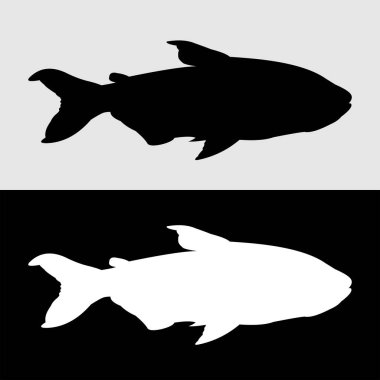 Süslü balıkların siluet vektör tasarımı sıklıkla saklanır