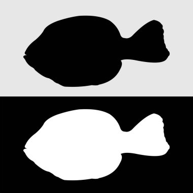 Süslü balıkların siluet vektör tasarımı sıklıkla saklanır