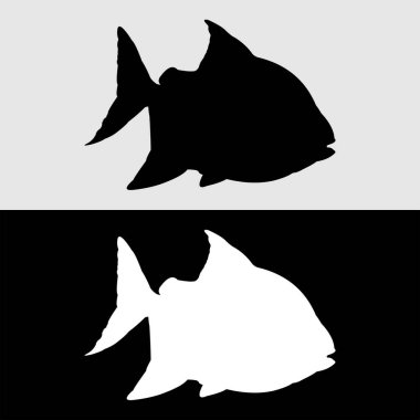 Süslü balıkların siluet vektör tasarımı sıklıkla saklanır