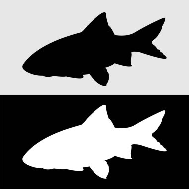 Süslü balıkların siluet vektör tasarımı sıklıkla saklanır