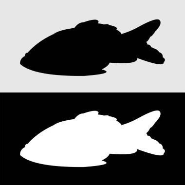 Siyah ve beyaz arkaplanı olan Japon balığı vektör tasarımı silueti