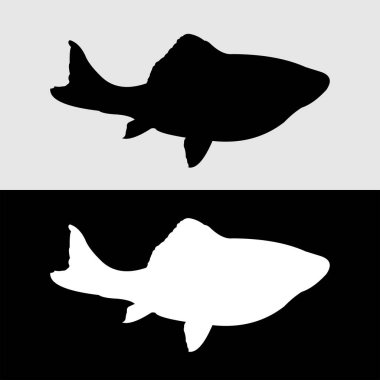 Masher balık silueti tasarımı. Birçok hayranı cezbetmeye başlayan nehir balıkları.