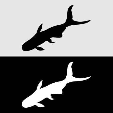 yayın balığı silueti tasarımı. Yayın balığı süs balığıdır ve aynı zamanda yiyecek balığıdır.