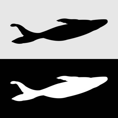 yayın balığı silueti tasarımı. Yayın balığı süs balığıdır ve aynı zamanda yiyecek balığıdır.