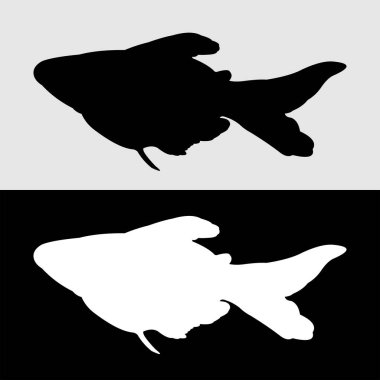 yayın balığı silueti tasarımı. Yayın balığı süs balığıdır ve aynı zamanda yiyecek balığıdır.